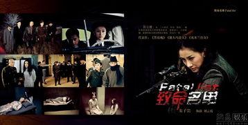 致命名单演员角色介绍,揭秘角色命运，探寻复仇之路